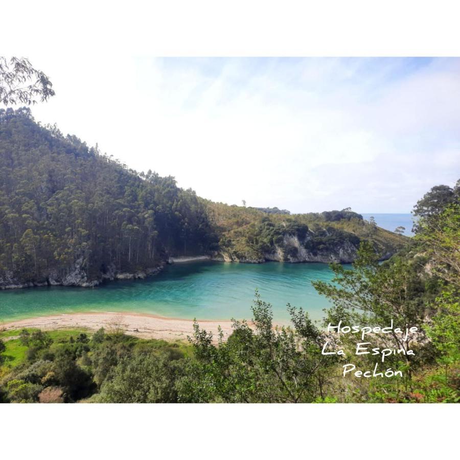 Hospedaje La Espina De 페촌 외부 사진