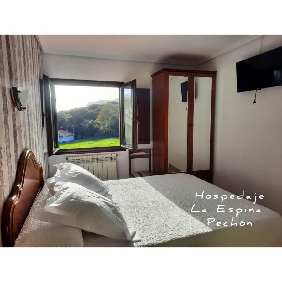 Hospedaje La Espina De 페촌 외부 사진